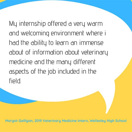 Testimonial: My internship offered a very warm and welcoming environment where I had the ability to learn an immense amount of information about veterinary medicine and the many different aspects of the job included in the field. - Margot Galligan, 2019 Veterinary Medicine Intern, Wellesley High School