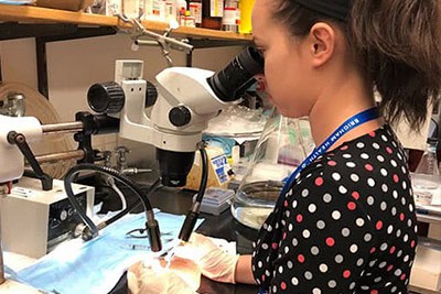 student looking through microscope